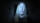 Paranormal Activity - Die Gezeichneten / DVD *Top Zustand