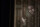 Insidious: Chapter 2 / DVD