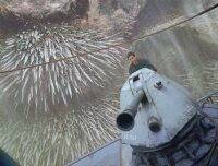 Percy Jackson - Im Bann des Zyklopen / Blu-Ray * Guter Zustand