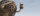 Die Croods / Blu-Ray * Guter Zustand