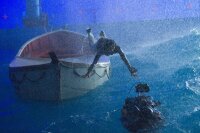 Life of Pi - Schiffbruch mit Tiger / Blu-ray Film