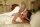 Mad Men - Sesaon 2  [4 DVDs] - Guter Zustand
