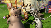 Madagascar 3 - Flucht durch Europa / DVD