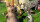 Madagascar 3 - Flucht durch Europa / DVD