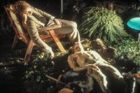 Die Körperfresser kommen - HorrorCult Uncut / DVD *Top Zustand