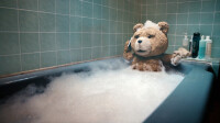 Ted | Mark Wahlberg | Mila Kunis | Seth Macfarlane / DVD