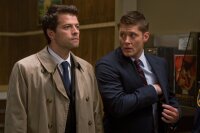 Supernatural - Staffel 5  (+Bonus-DVD)  ( 6 DVDs ) - Top Zustand