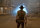 Cowboys & Aliens - Extended Directors Cut  (+ DVD) Blu-Ray * Guter Zustand