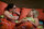 The Big Bang Theory - Staffel 3  [3 DVDs]