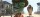 Rango / DVD