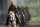 Robin Hood / DVD - Guter Zustand