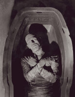 Die Mumie  (OmU) DVD * Guter Zustand