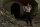 Inglourious Basterds / DVD - Top Zustand