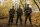 Inglourious Basterds / DVD - Top Zustand