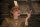 Inglourious Basterds / DVD - Top Zustand