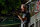 Gran Torino / DVD *Guter Zustand