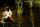 Rogue - Im falschen Revier / DVD