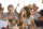 Nach 7 Tagen ausgeflittert / DVD - Top Zustand